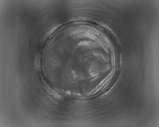 X0000051270921200507011741