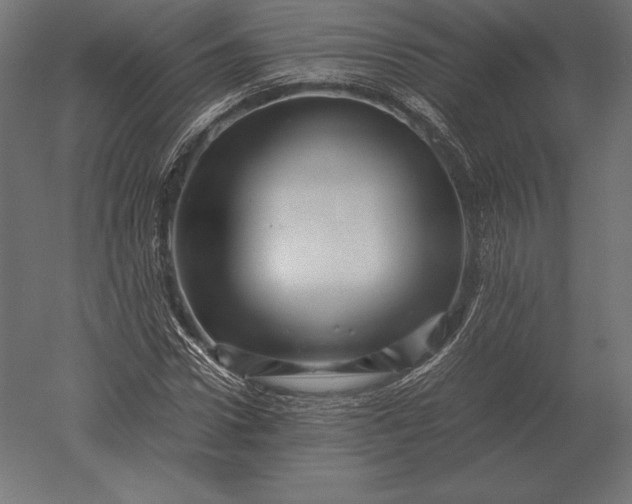 X0000051270922200507011741