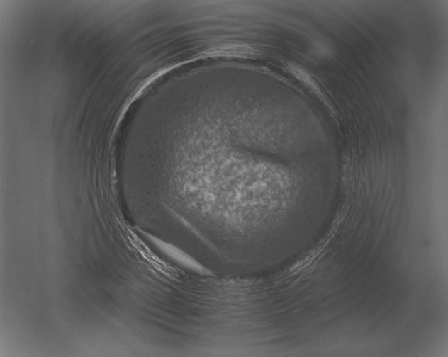 X0000051270923200507011741
