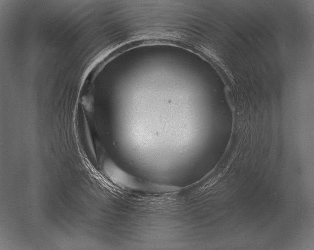 X0000051270928200507011741