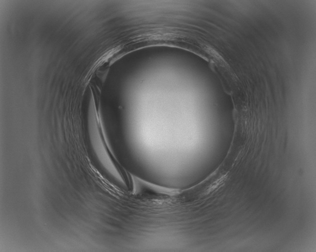 X0000051270930200507011741