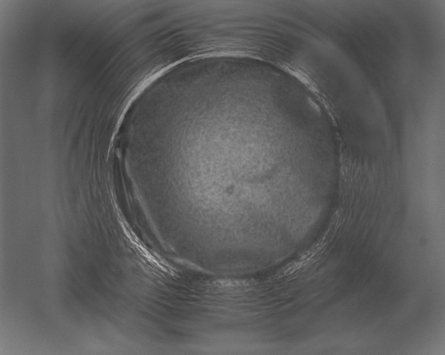 X0000051270933200507011741