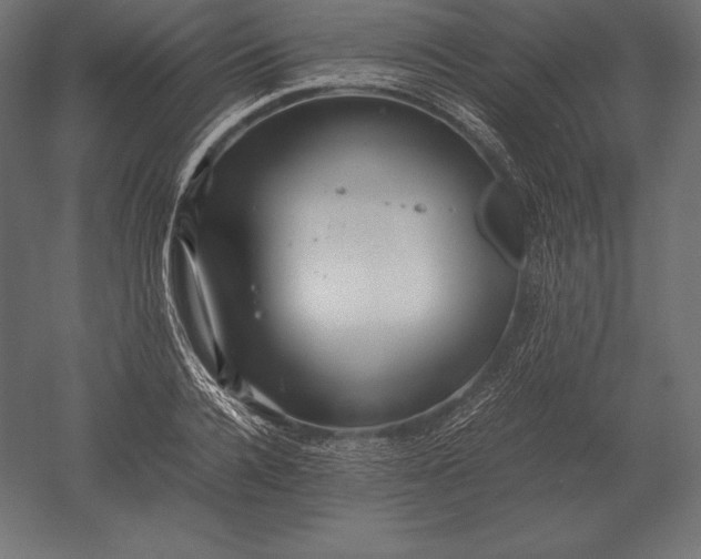 X0000051270936200507011741