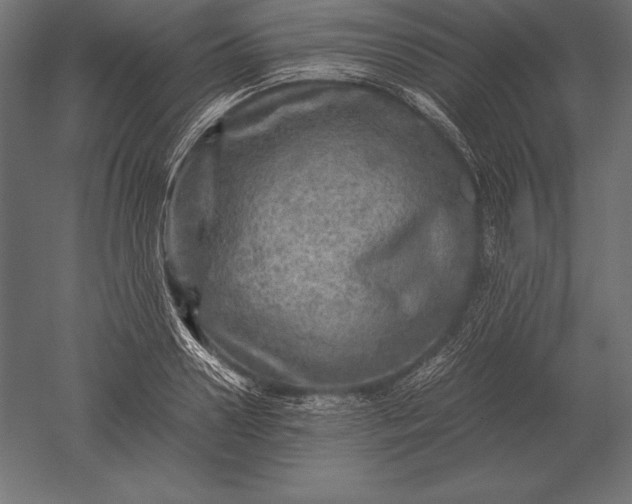 X0000051270938200507011741