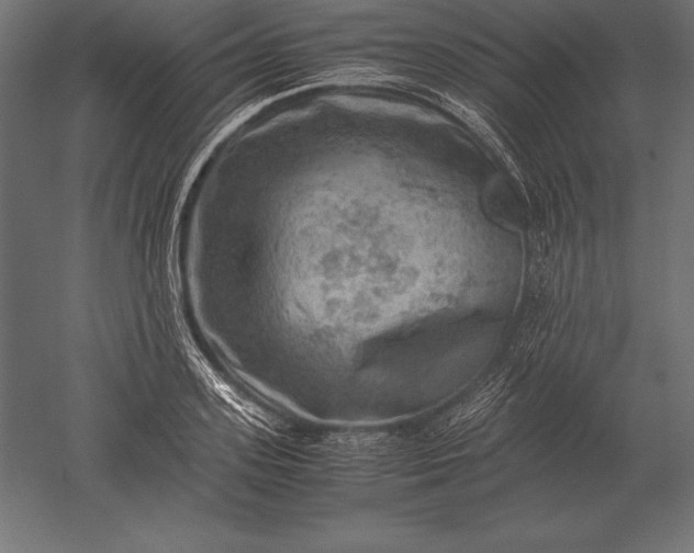 X0000051270939200507011741