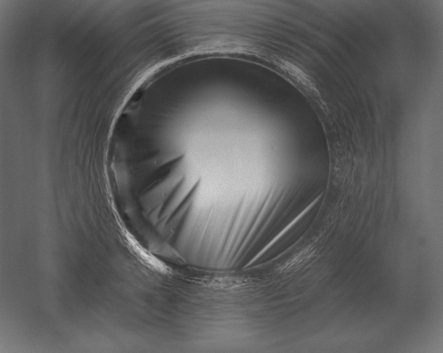 X0000051270942200507011741