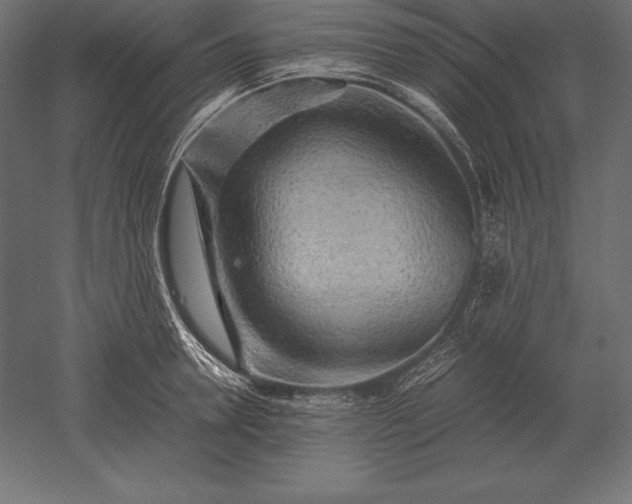 X0000051270946200507011741