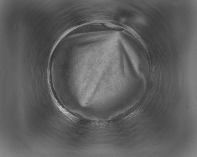 X0000051270955200507011741