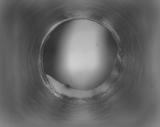 X0000051270956200507011741