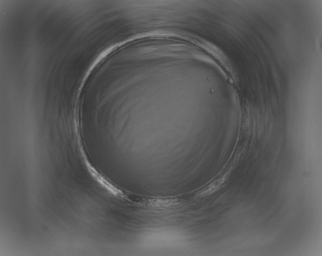 X0000051270958200507011741