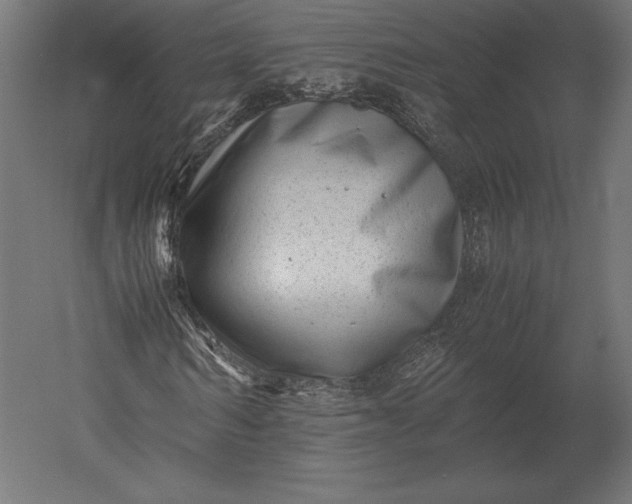X0000051270962200507011740