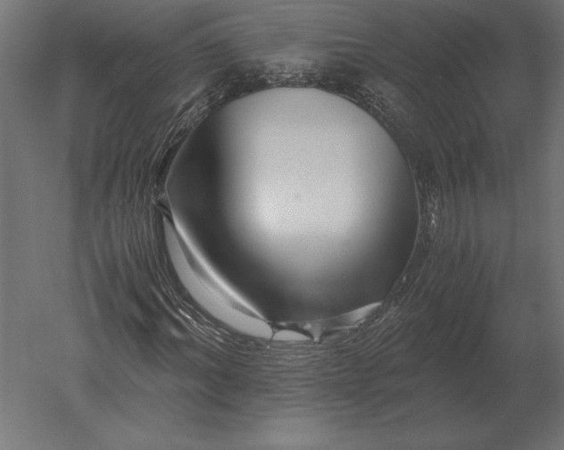 X0000051270964200507011740