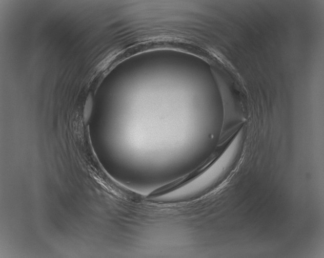 X0000051270969200507011740