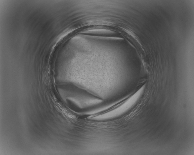 X0000051270971200507011740