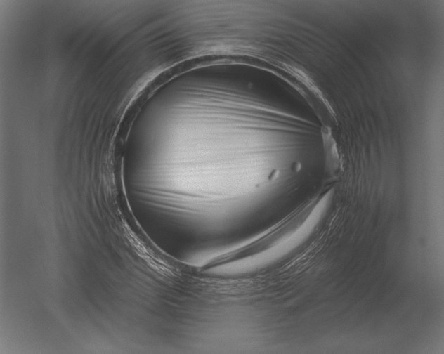 X0000051270972200507011740