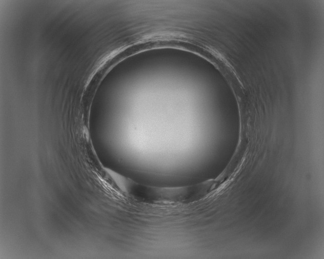 X0000051270973200507011740