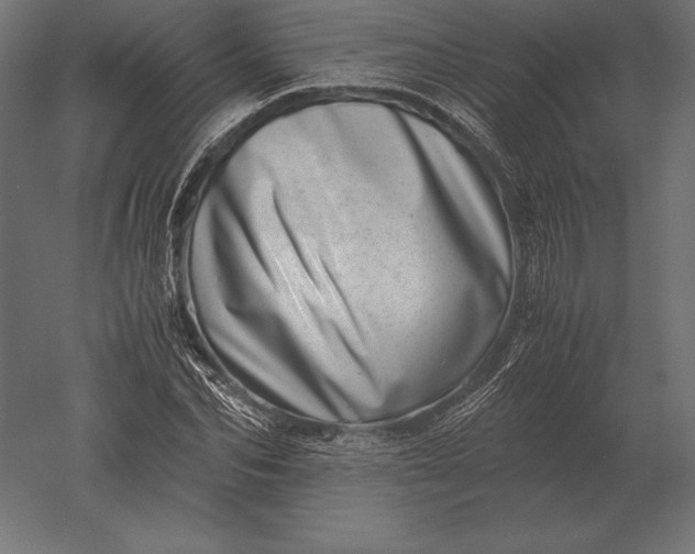 X0000051270974200507011740