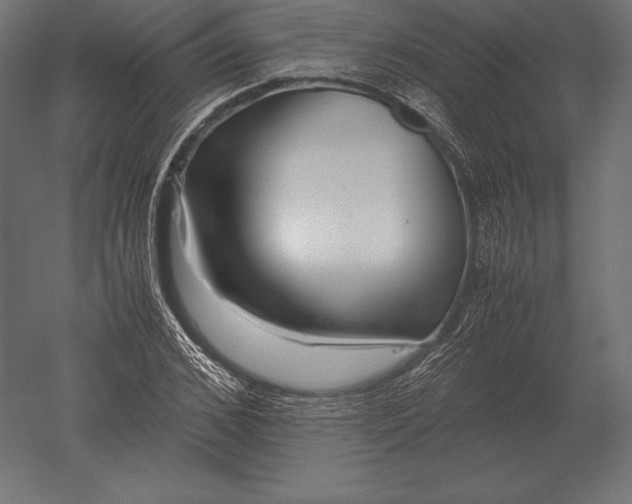 X0000051270976200507011740