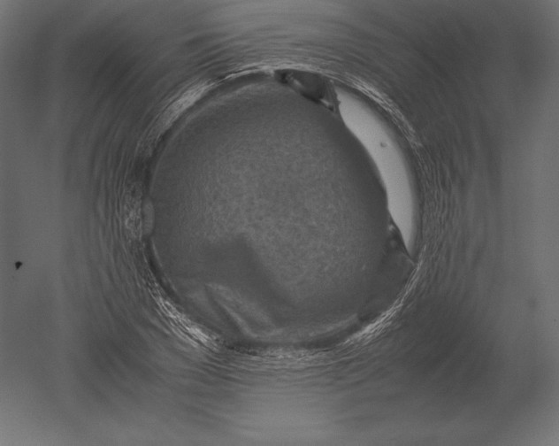 X0000051270977200507011740