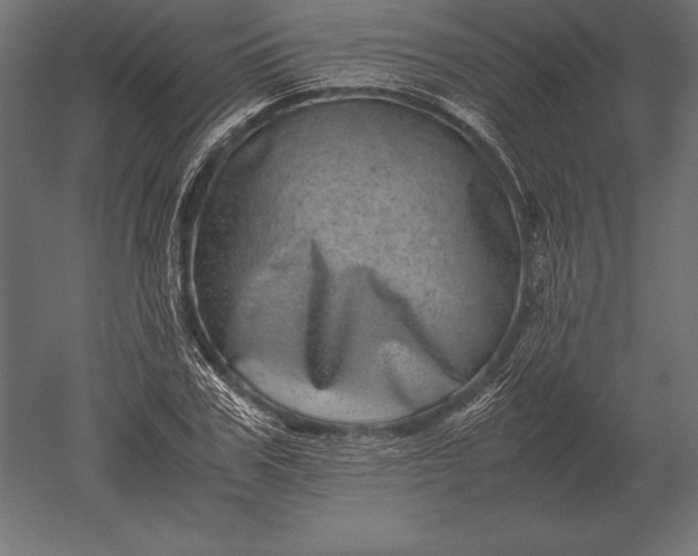 X0000051270979200507011740