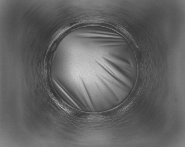X0000051270981200507011740