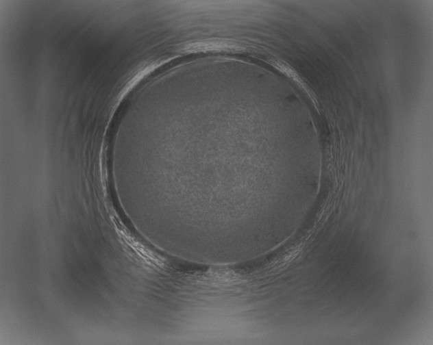 X0000051270983200507011740