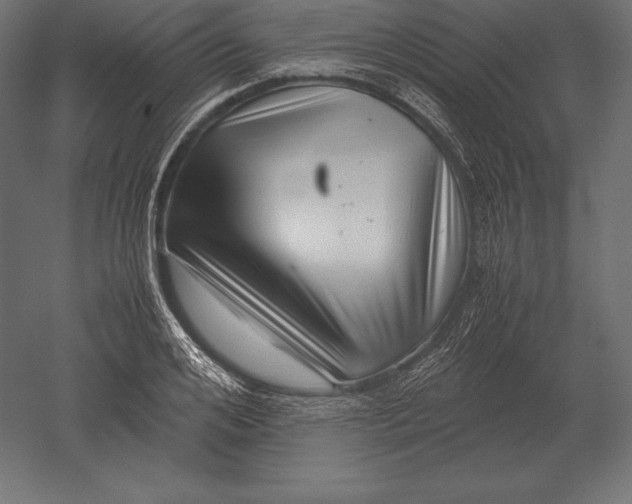 X0000051270984200507011740
