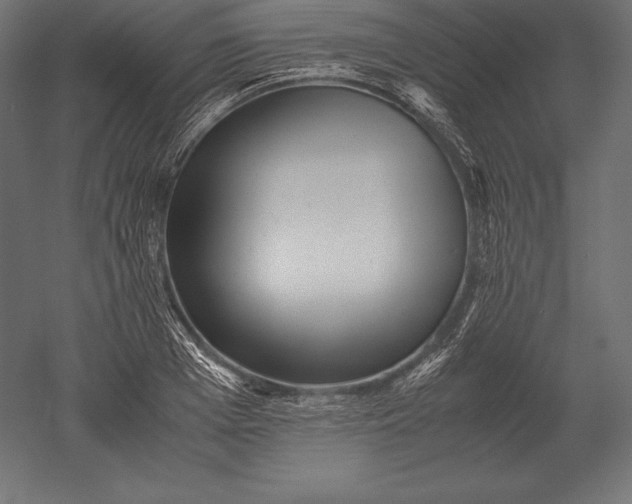 X0000051270985200507011740