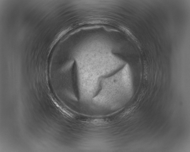 X0000051270986200507011740