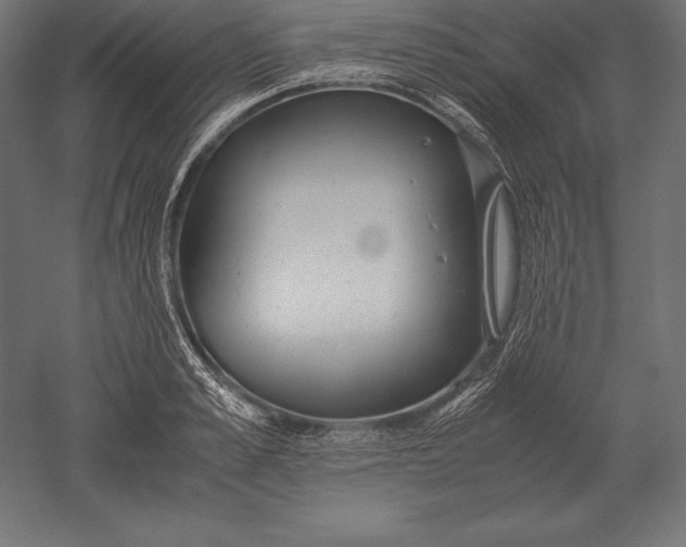 X0000051270989200507011740