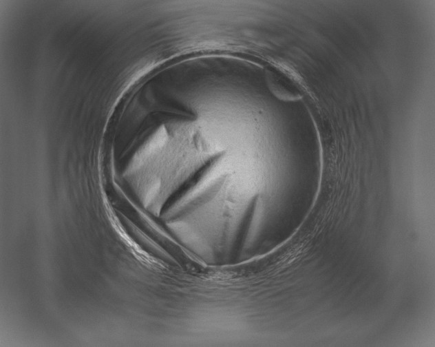 X0000051270991200507011740