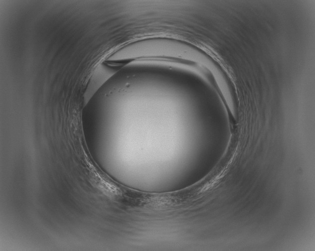 X0000051270993200507011740