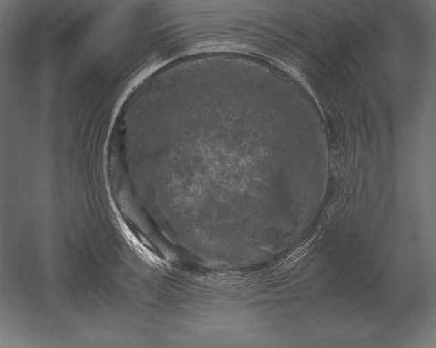 X0000051270995200507011740
