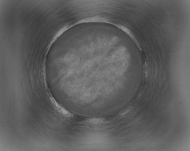 X0000051270998200507011740
