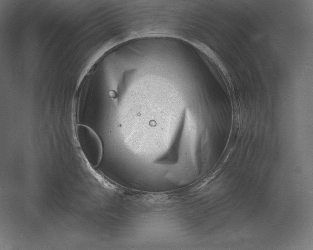 X0000051271006200507011740