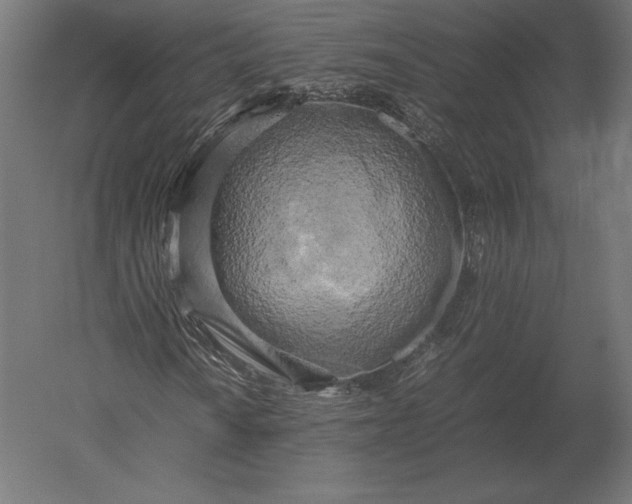 X0000051271010200507011739