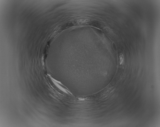 X0000051271011200507011739