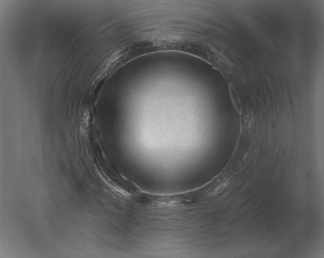 X0000051271012200507011739