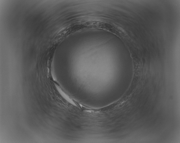 X0000051271013200507011739