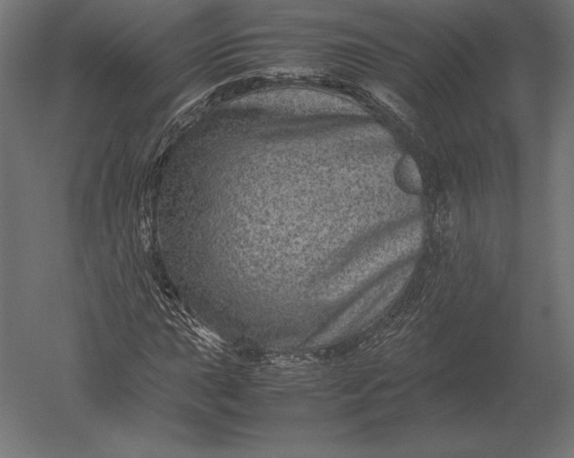 X0000051271015200507011739