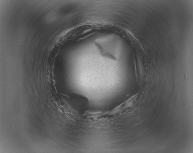 X0000051271016200507011739