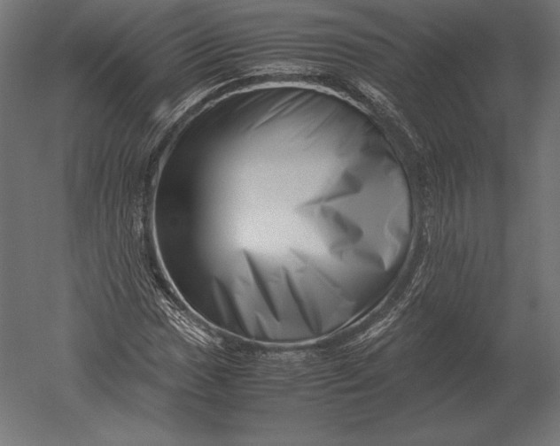X0000051271017200507011739