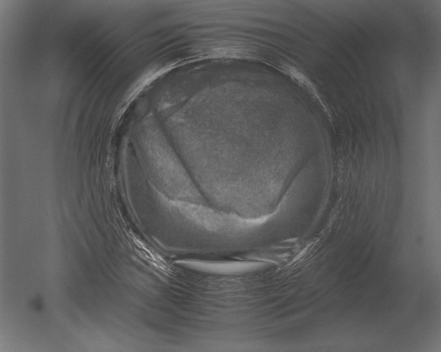 X0000051271019200507011739