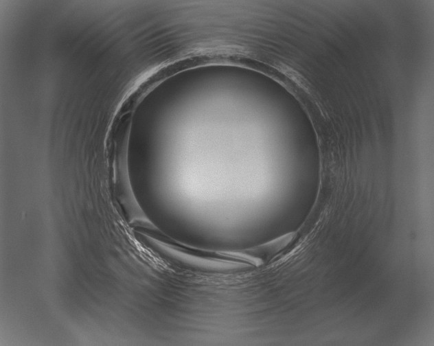 X0000051271022200507011739