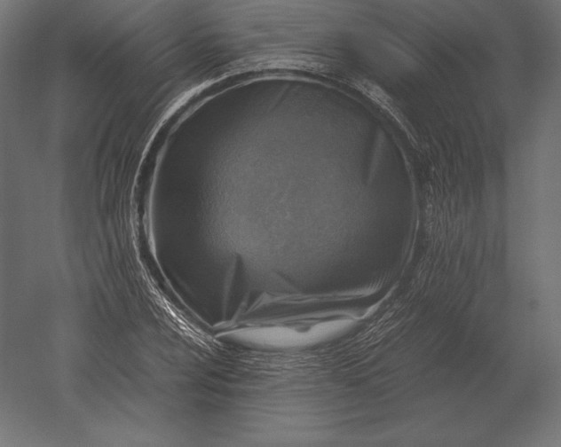 X0000051271024200507011739