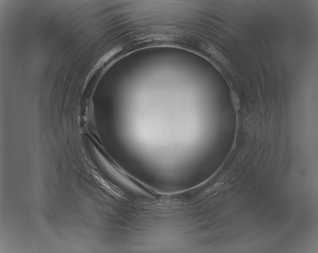 X0000051271026200507011739