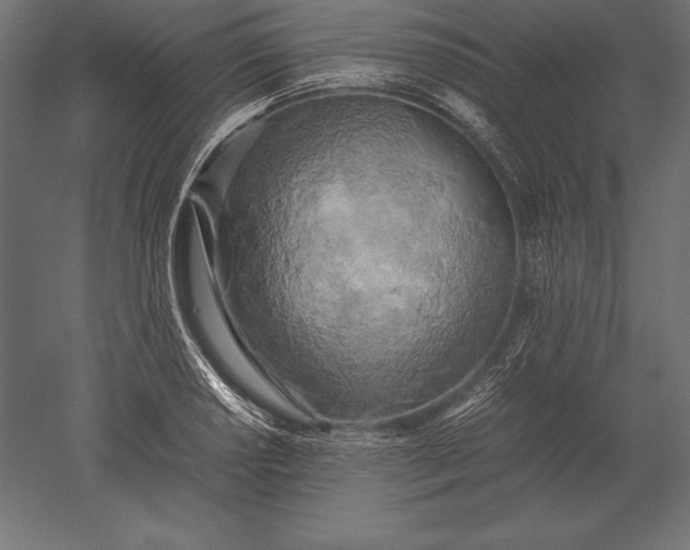 X0000051271034200507011739