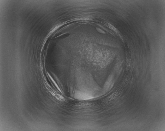 X0000051271035200507011739