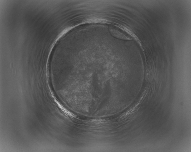 X0000051271037200507011739