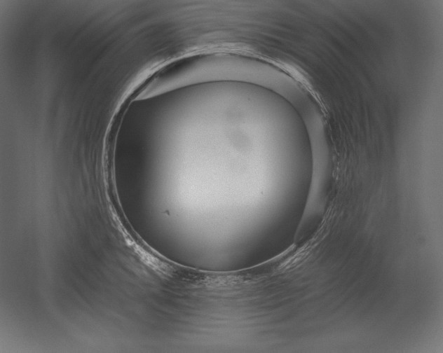 X0000051271046200507011739